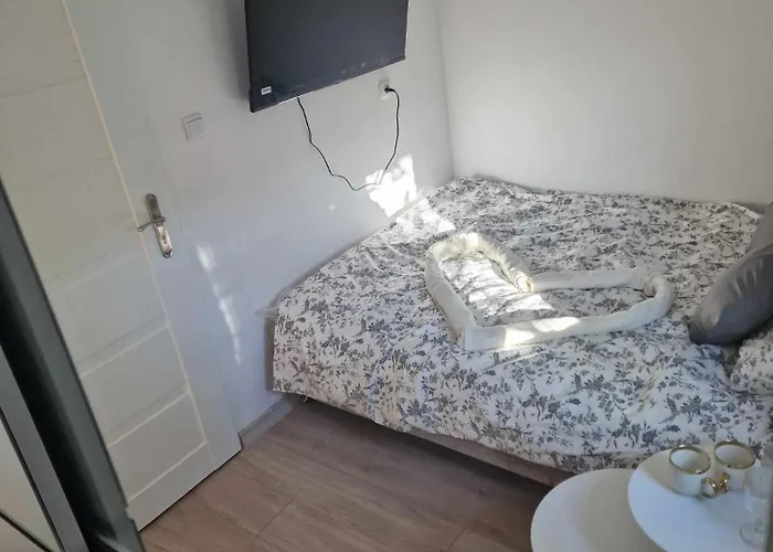 Zlota Madam Apartment *