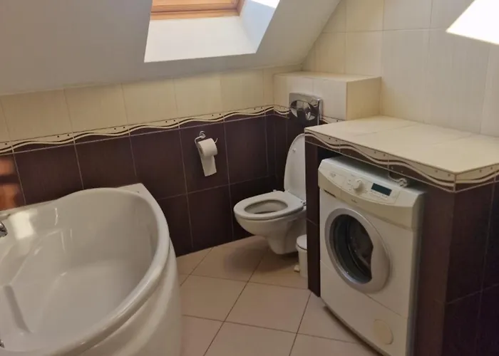 Zlota Madam Jastarnia